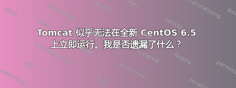 Tomcat 似乎无法在全新 CentOS 6.5 上立即运行。我是否遗漏了什么？