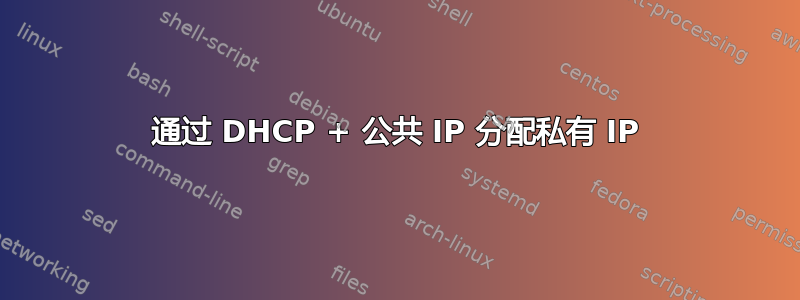 通过 DHCP + 公共 IP 分配私有 IP