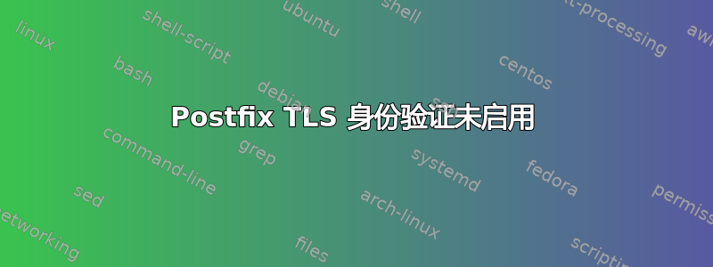 Postfix TLS 身份验证未启用