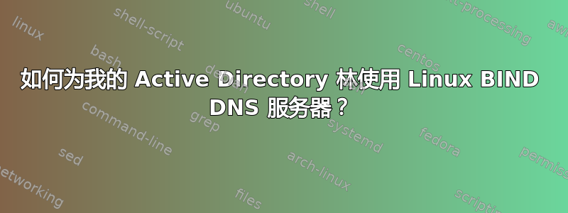 如何为我的 Active Directory 林使用 Linux BIND DNS 服务器？