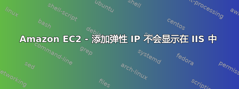 Amazon EC2 - 添加弹性 IP 不会显示在 IIS 中