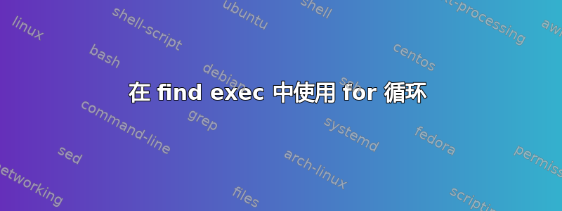 在 find exec 中使用 for 循环