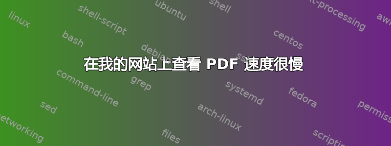 在我的网站上查看 PDF 速度很慢