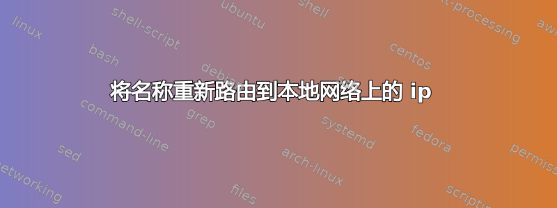 将名称重新路由到本地网络上的 ip 