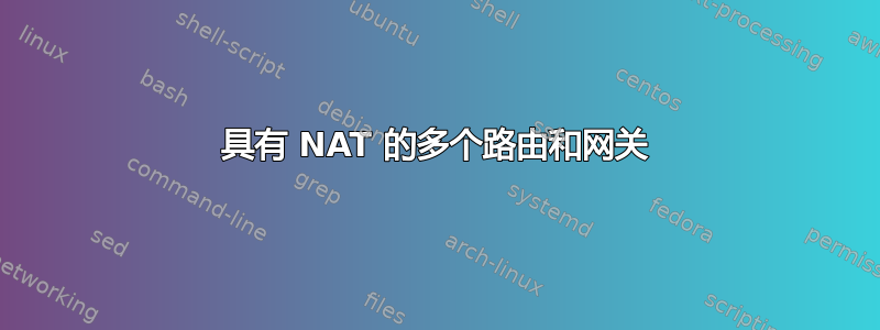 具有 NAT 的多个路由和网关