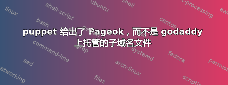 puppet 给出了 Pageok，而不是 godaddy 上托管的子域名文件