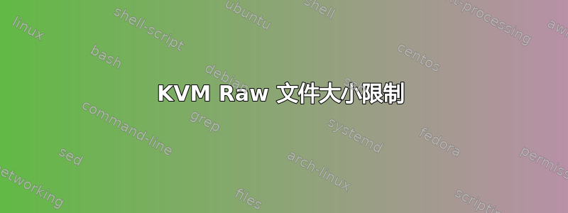 KVM Raw 文件大小限制