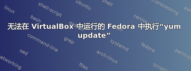 无法在 VirtualBox 中运行的 Fedora 中执行“yum update”