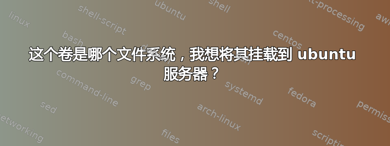 这个卷是哪个文件系统，我想将其挂载到 ubuntu 服务器？