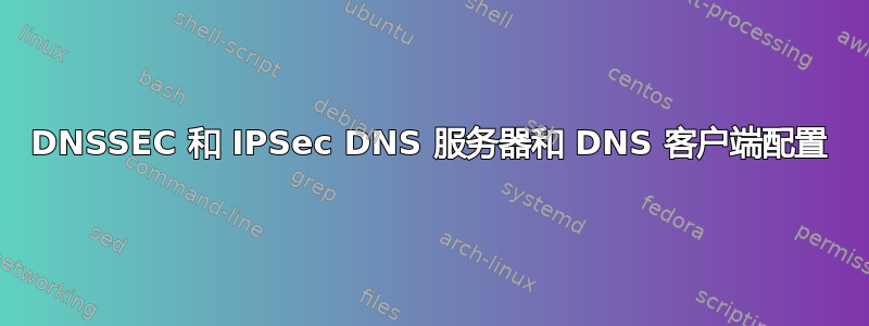 DNSSEC 和 IPSec DNS 服务器和 DNS 客户端配置