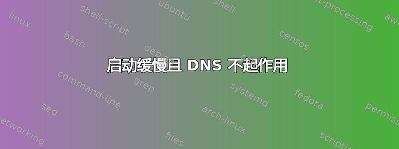 启动缓慢且 DNS 不起作用