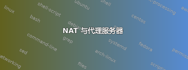 NAT 与代理服务器