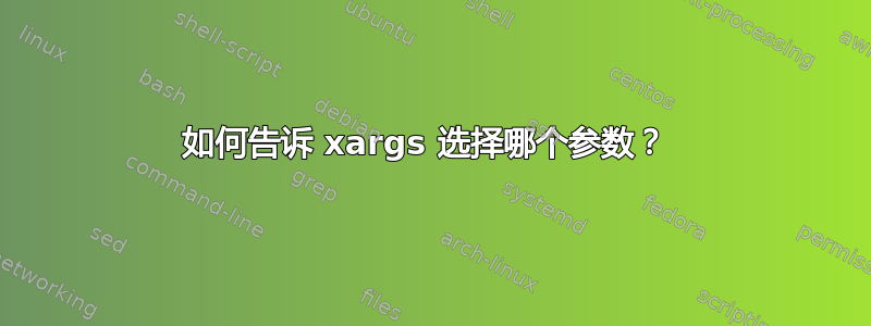 如何告诉 xargs 选择哪个参数？ 