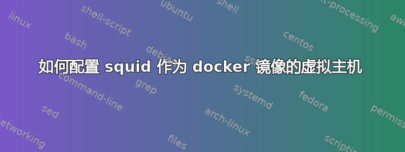 如何配置 squid 作为 docker 镜像的虚拟主机