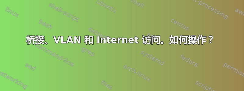 桥接、VLAN 和 Internet 访问。如何操作？