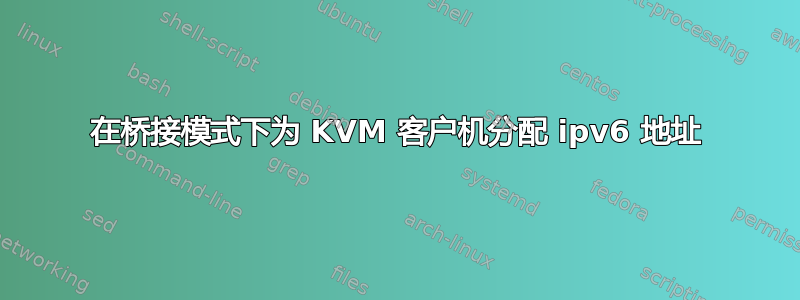 在桥接模式下为 KVM 客户机分配 ipv6 地址