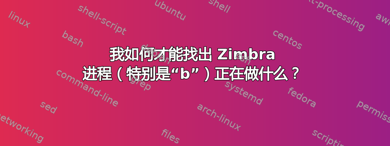 我如何才能找出 Zimbra 进程（特别是“b”）正在做什么？