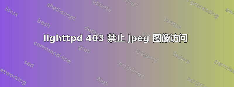 lighttpd 403 禁止 jpeg 图像访问