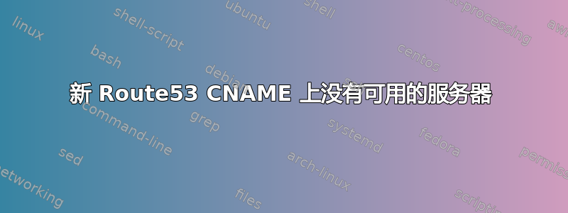 新 Route53 CNAME 上没有可用的服务器