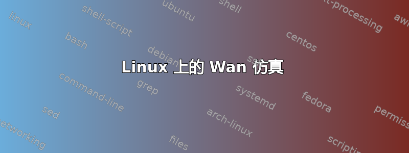 Linux 上的 Wan 仿真