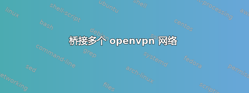 桥接多个 openvpn 网络