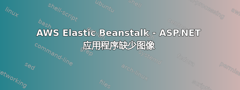 AWS Elastic Beanstalk - ASP.NET 应用程序缺少图像