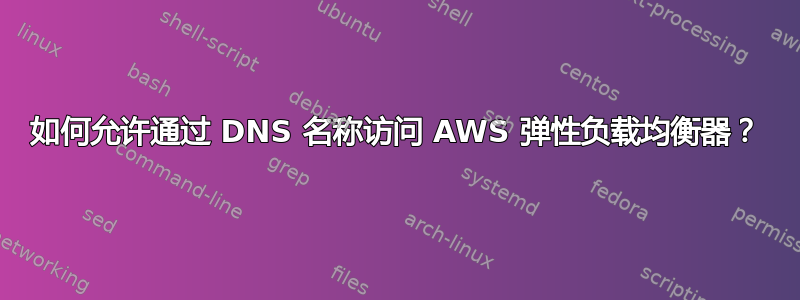 如何允许通过 DNS 名称访问 AWS 弹性负载均衡器？