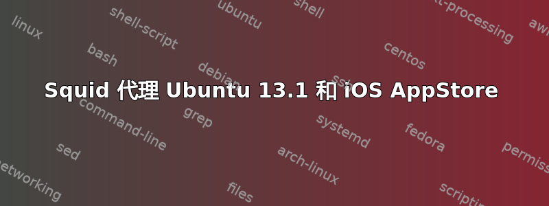 Squid 代理 Ubuntu 13.1 和 iOS AppStore