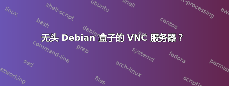 无头 Debian 盒子的 VNC 服务器？