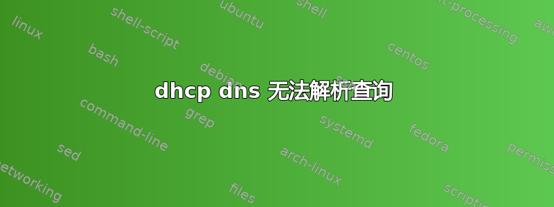 dhcp dns 无法解析查询