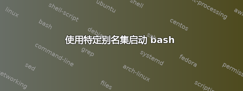 使用特定别名集启动 bash