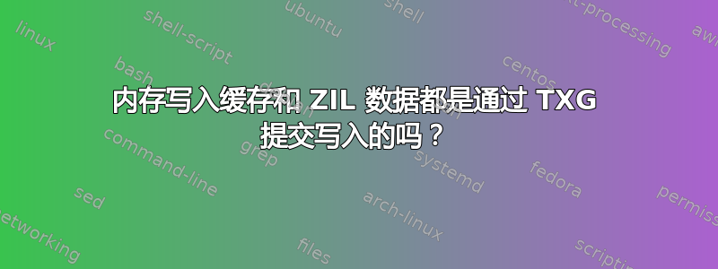 内存写入缓存和 ZIL 数据都是通过 TXG 提交写入的吗？