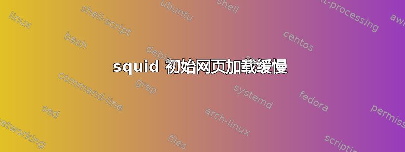 squid 初始网页加载缓慢