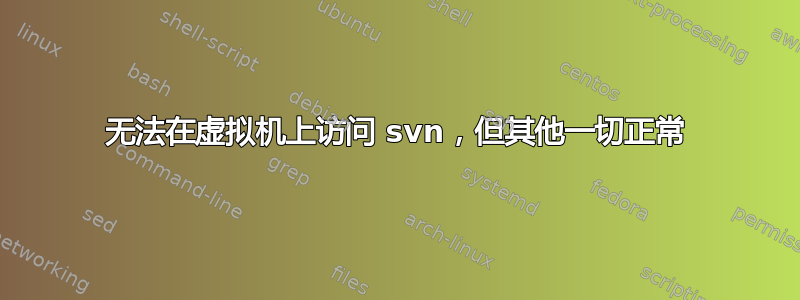 无法在虚拟机上访问 svn，但其他一切正常