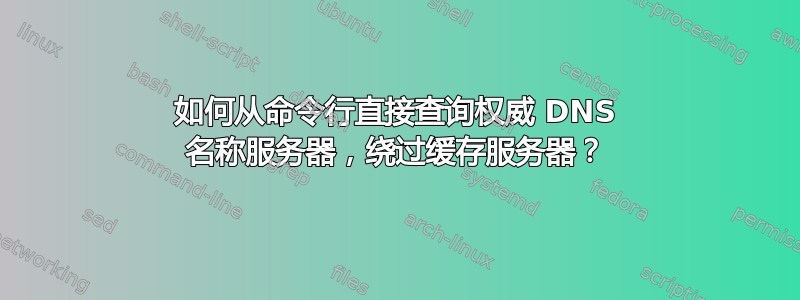 如何从命令行直接查询权威 DNS 名称服务器，绕过缓存服务器？