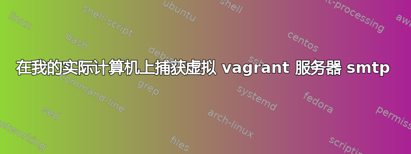 在我的实际计算机上捕获虚拟 vagrant 服务器 smtp