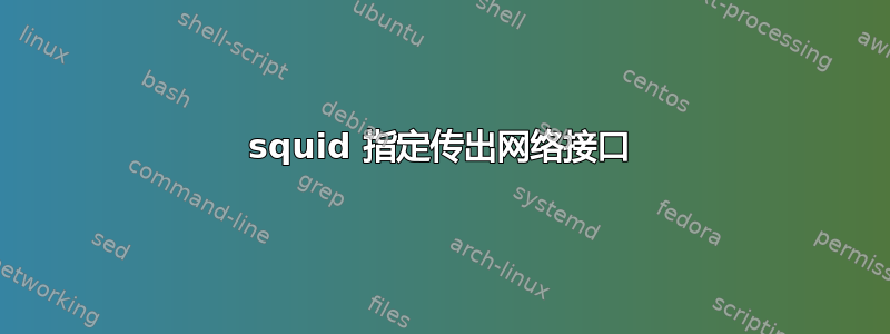 squid 指定传出网络接口