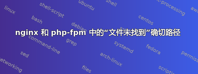 nginx 和 php-fpm 中的“文件未找到”确切路径