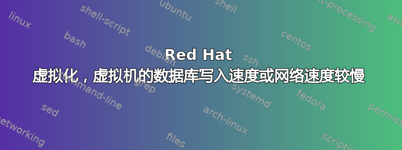 Red Hat 虚拟化，虚拟机的数据库写入速度或网络速度较慢