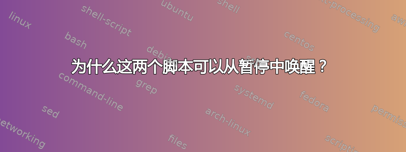 为什么这两个脚本可以从暂停中唤醒？