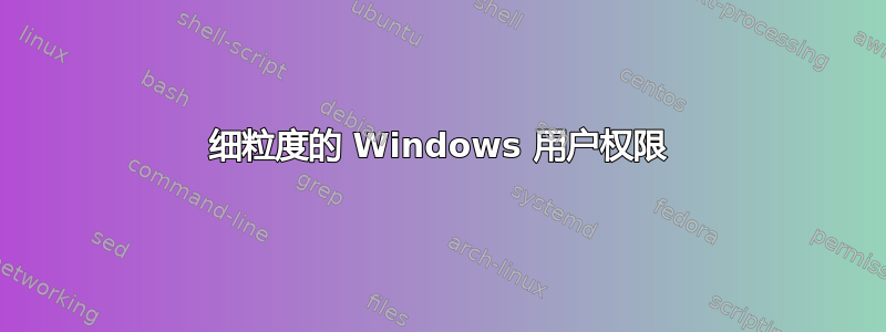 细粒度的 Windows 用户权限