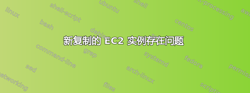 新复制的 EC2 实例存在问题