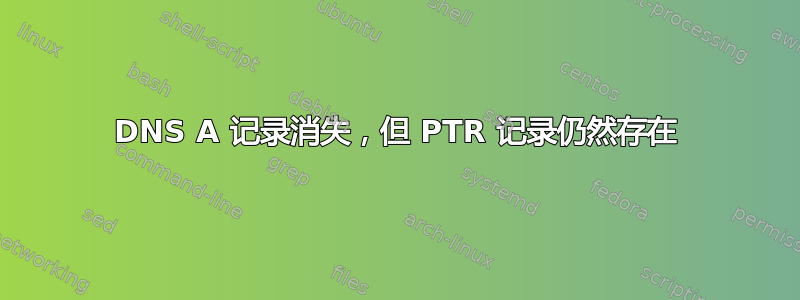 DNS A 记录消失，但 PTR 记录仍然存在