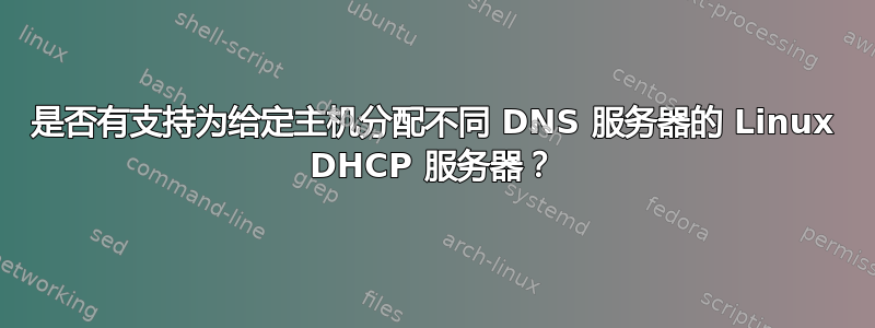 是否有支持为给定主机分配不同 DNS 服务器的 Linux DHCP 服务器？