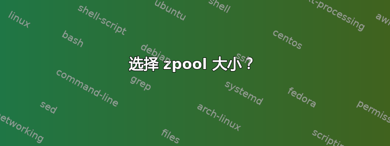 选择 zpool 大小？