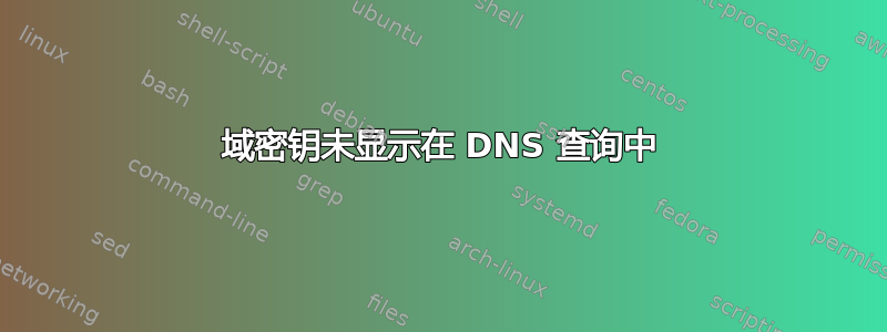 域密钥未显示在 DNS 查询中