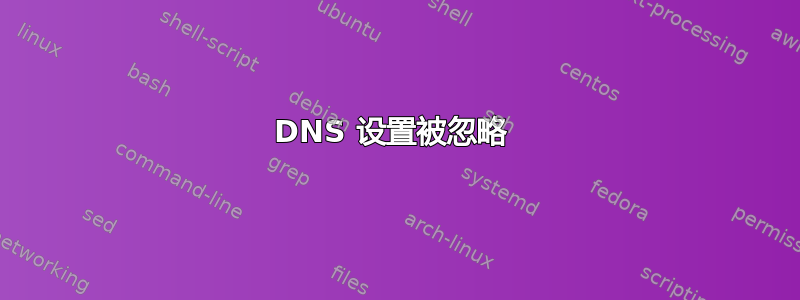 DNS 设置被忽略 