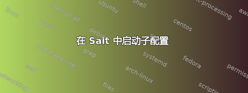 在 Salt 中启动子配置