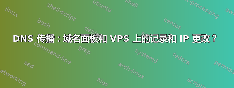 DNS 传播：域名面板和 VPS 上的记录和 IP 更改？