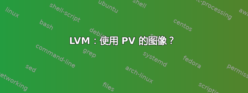 LVM：使用 PV 的图像？